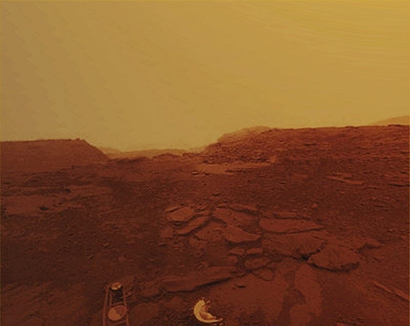 The Infinite Scholar Book Cover